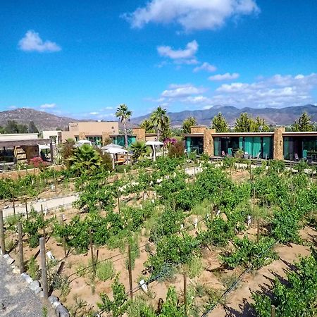 Entre Viñedos by Hotel Boutique Valle de Guadalupe Extérieur photo