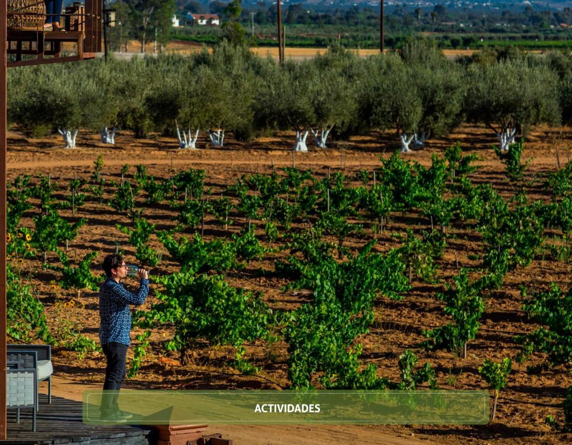 Entre Viñedos by Hotel Boutique Valle de Guadalupe Extérieur photo