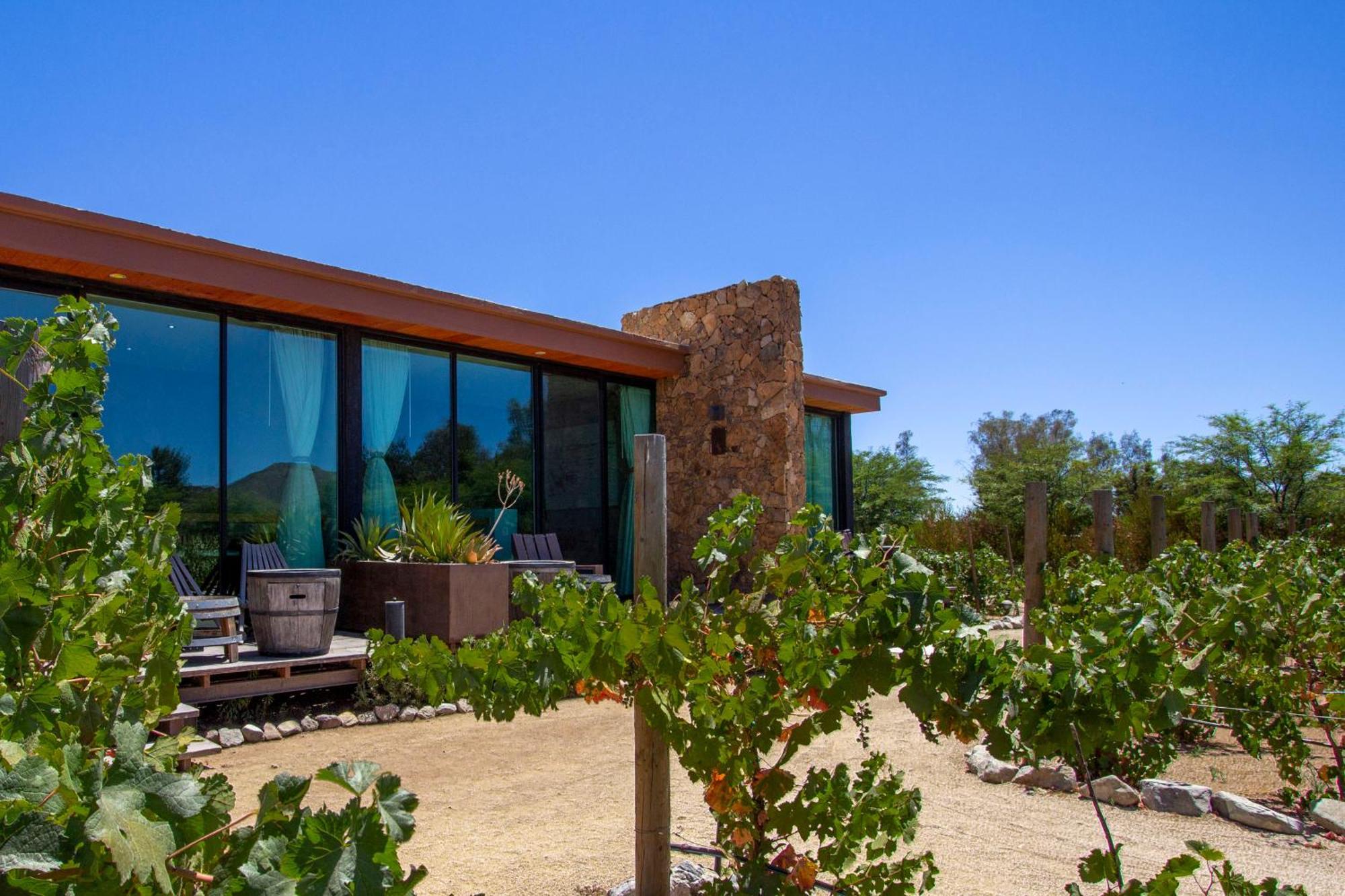 Entre Viñedos by Hotel Boutique Valle de Guadalupe Extérieur photo