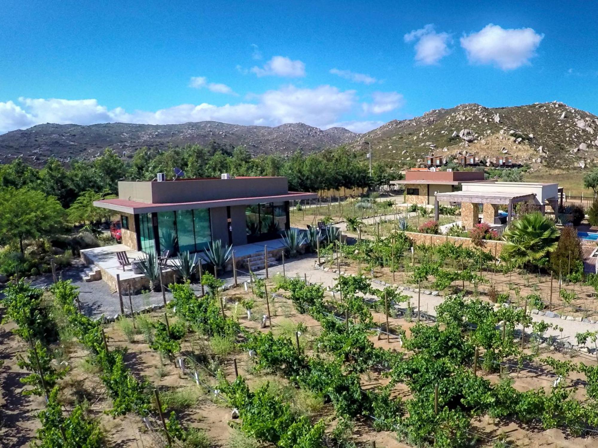 Entre Viñedos by Hotel Boutique Valle de Guadalupe Chambre photo